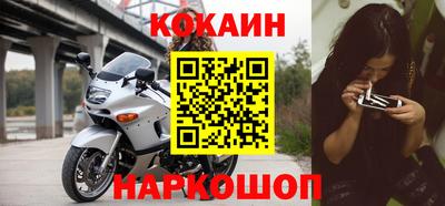 крисы Славгород