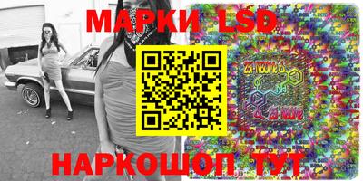 крисы Славгород