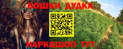крисы Славгород