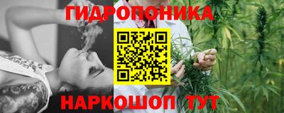стаф Славянск-на-Кубани