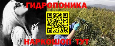 крисы Славгород