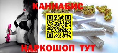 крисы Славгород