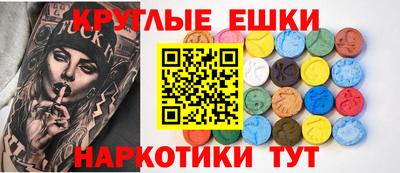 крисы Славгород