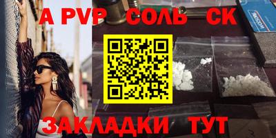 крисы Славгород