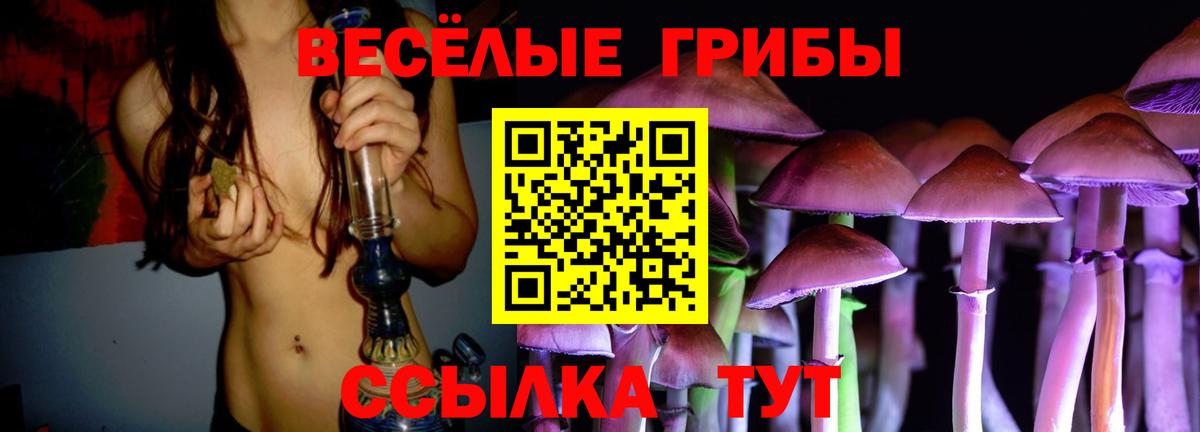 Псилоцибиновые грибы ЛСД Нальчик